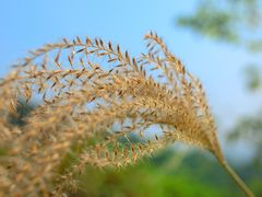 -火炉山森林公园