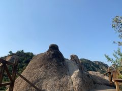 -大岭沟猕猴桃谷风景区