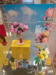 -乐高授权专卖店(中关村领展店)