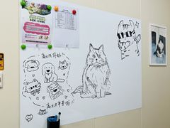 -美联众合爱康动物医院•复杂内科•肿瘤科•牙科•腔镜诊疗中心