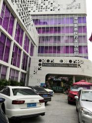 -深圳美莱医疗美容医院