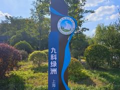 -九科绿洲