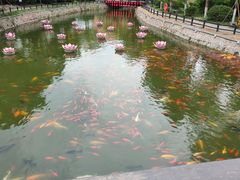 -清明上河园-迎宾门售票处