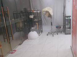 -镁连社·美联社