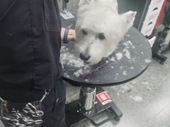 -宠物家(大兴旧宫店)