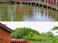 -溱湖国家湿地公园