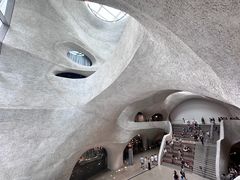 -美国自然历史博物馆