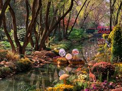 -上海共青森林公园