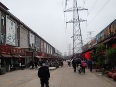 -中环花鸟鱼虫市场