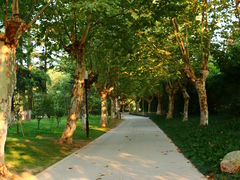 -沙市市中山公园