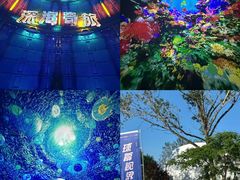 -南戴河国际娱乐中心