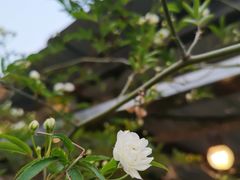 -小时光咖啡馆(北锣鼓巷店)