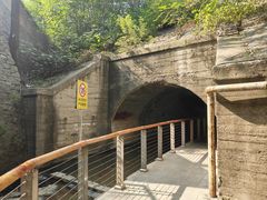 -白水寺森林公园