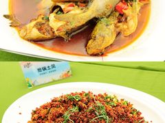 -中国天府农业博览园