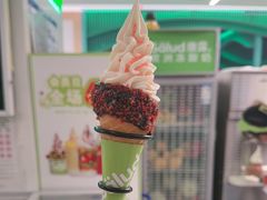 -Salud撒露欧洲冻酸奶(五道口购物中心店)