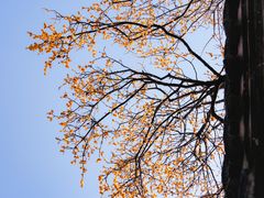 -宁波市保国寺古建筑博物馆