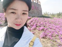 -莱阳濯村樱花园