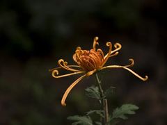-汇龙潭