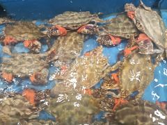 -海铺·渔家虾水饺(皇姑店)