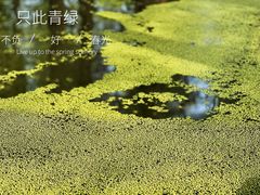 -渌洋湖湿地公园