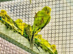 -萌宠亲子动物乐园(槐房万达店)