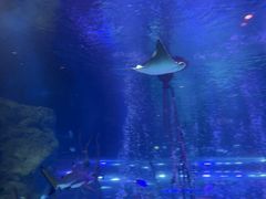 -沈阳海洋探索中心