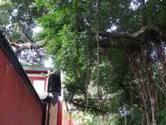 -乌山风景区