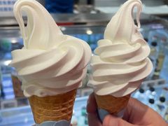 -盒马X会员店(上海森兰商都店)