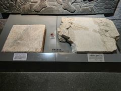 -烟台市博物馆