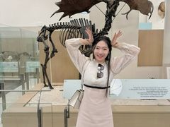-美国自然历史博物馆