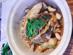 -清晖小苑•顺德地方菜(壹海城店)