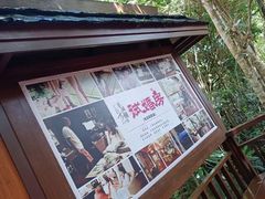 -亚龙湾热带天堂森林公园