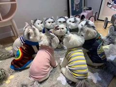 -国家图书馆·古籍馆