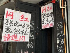 -孙奶奶葱包桧
