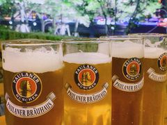 黄啤黑啤-宝莱纳餐厅(滨江店)