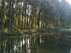 -白河湾生态旅游一条川