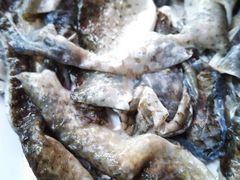 -章记正宗南岗鱼蛋火锅