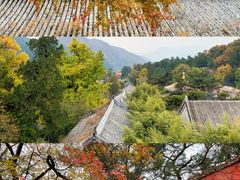 -潭柘寺景区