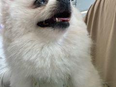 -怪兽屋·羊驼·猫咖·狗咖(俊华广场店)