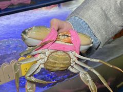 -辣螃铠盆盆蟹大排档(海昌店)