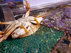 -盒马鲜生(莱蒙都会店)