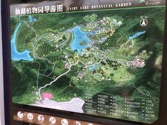 -深圳仙湖植物园