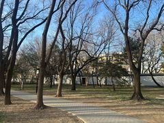 -玲珑塔公园