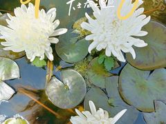 -滆湖低碳生态公园