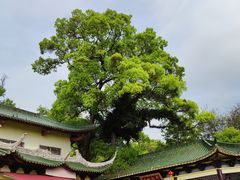 -南华寺素食馆(南华禅寺店)