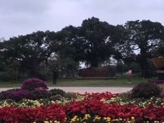 -万绿园