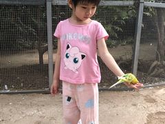 -呀路古热带植物园