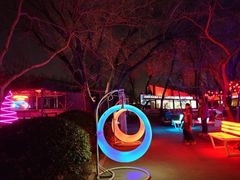 -枫花园汽车电影院(朝阳公园店)