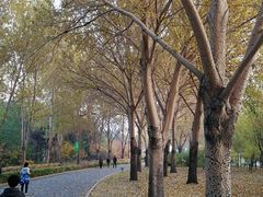 -长春公园(普阳街道)