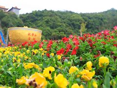 -东莞观音山旅游风景区